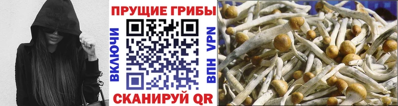 blacksprut ссылки  мориарти официальный сайт  Галлюциногенные грибы ЛСД  купить закладку  Бабаево 